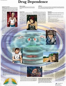   : Drug Dependence - 50 x 67 cm - 