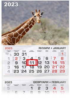   -  2023 - 