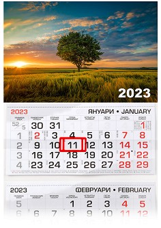   -  2023 - 