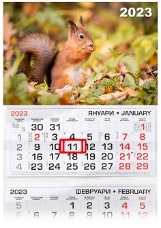   -  2023 - 
