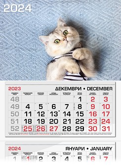   -  2024 - 