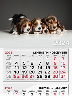   -  2024 - 