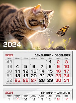   -    2024 - 