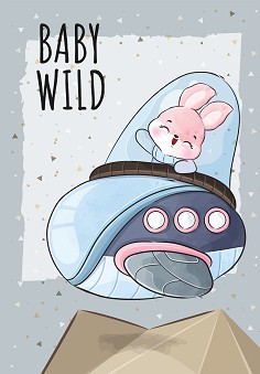        -  A5  40    Baby Wild - 