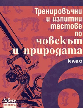          6.  -   -  ,  ,  ,  , . , .  - 