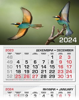   -  2024 - 