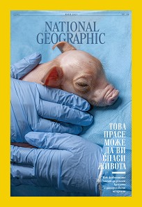 National Geographic  -  6 / 2025 - 
