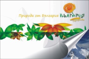  2011 -    - 
