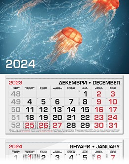   -  2024 - 