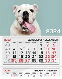   -  2024 - 