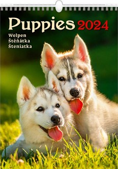  - Puppies 2024 - 