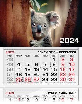   -  2024 - 
