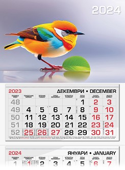   -   2024 - 