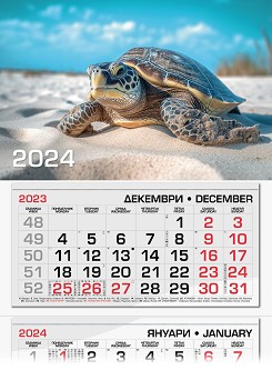   -  2024 - 