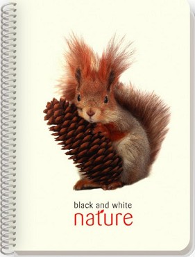    - Nature -   2, 3  6    4 - 