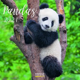   - Pandas 2024 - 