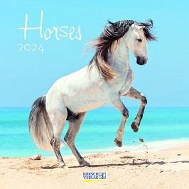   - Horses 2024 - 