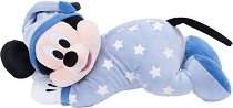 ������� ������� ���� ����- Disney Plush - ��������