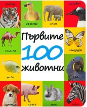  100  - 