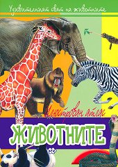 ������������ ���� �� ���������: ��������� - 