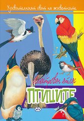 ������������ ���� �� ���������: ������� - 