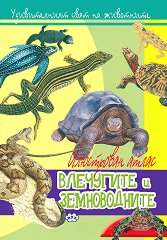 ������������ ���� �� ���������: ��������� � ������������ - 