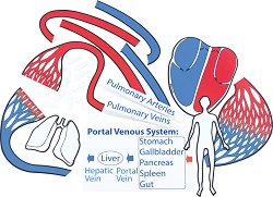 �������� ���������� ������� Betzold - 