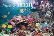   - Magic of the Seas 2026 - 