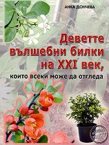     XXI ,      - 