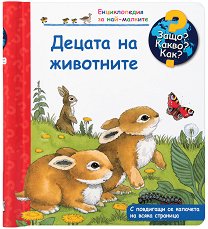 ������������ �� ���-�������: ������ �� ��������� - 