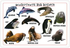 ���������� ���� ������ �����: ��������� ��� ������ - 