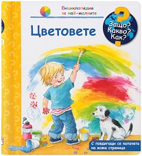 ������������ �� ���-�������: ��������� - 