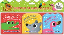 ������ �� ���� ������� �� ����� � ����� - ��� - 