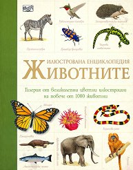 ����������� ������������: ��������� - 