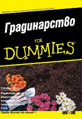  for dummies - 