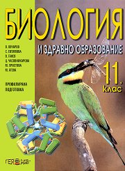 �������� � ������� ����������� �� 11. ���� - ����������� ���������� - 