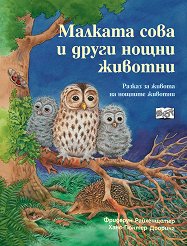 ������� ���� � ����� ����� ������� - 