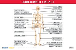 ������ ������ �����: ��������� ������ - 