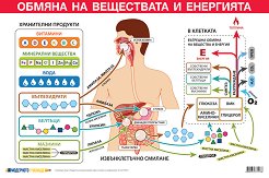 ������ ������ �����: ������ �� ���������� � ��������� - 
