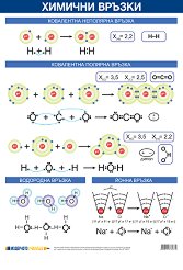 ������ ������ �����: ������� ������ - 