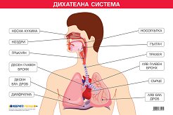 ������ ������ �����: ��������� ������� - 