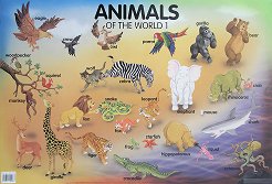 ������ ����� �� ��������� ����: Animals of the World 1 - 
