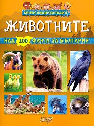 ���� ������������: ��������� - �����