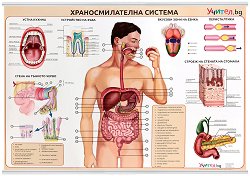 ������ ������ �����: ��������������� ������� - 