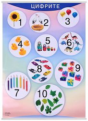 ������ ������ �����: ������� - 