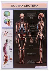 ������ ������ �����: ������ ������� - 