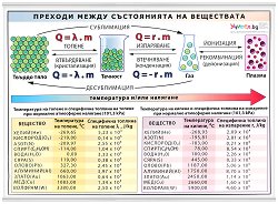 ������ ������ �����: ������� ����� ����������� �� ���������� - 
