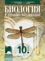 �������� � ������� ����������� �� 10. ���� - 