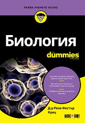  For Dummies - 