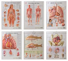 ������ ������ ����� �� �������� - 